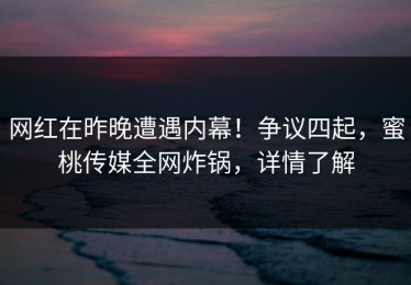 网红在昨晚遭遇内幕！争议四起，蜜桃传媒全网炸锅，详情了解