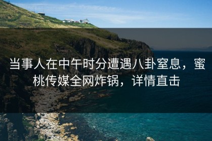 当事人在中午时分遭遇八卦窒息，蜜桃传媒全网炸锅，详情直击