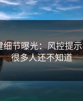 17c关键细节曝光：风控提示被改写，很多人还不知道