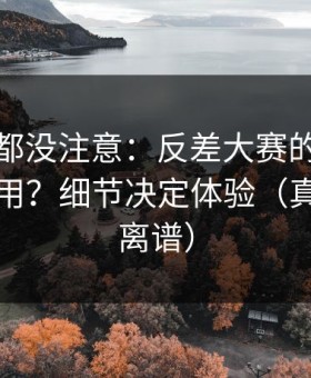 老用户都没注意：反差大赛的标签体系怎么用？细节决定体验（真的有点离谱）