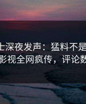 业内人士深夜发声：猛料不是我干的！星空影视全网疯传，评论数破万