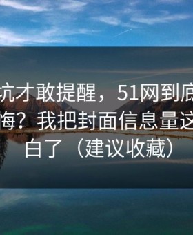 我踩过坑才敢提醒，51网到底怎么用才不后悔？我把封面信息量这关踩明白了（建议收藏）