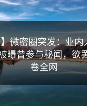 【爆料】微密圈突发：业内人士在傍晚时刻被曝曾参与秘闻，欲罢不能席卷全网