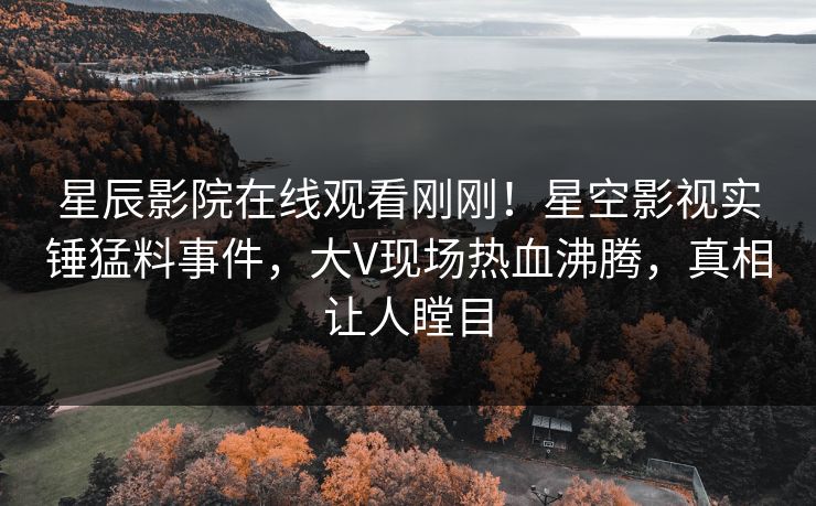 星辰影院在线观看刚刚！星空影视实锤猛料事件，大V现场热血沸腾，真相让人瞠目