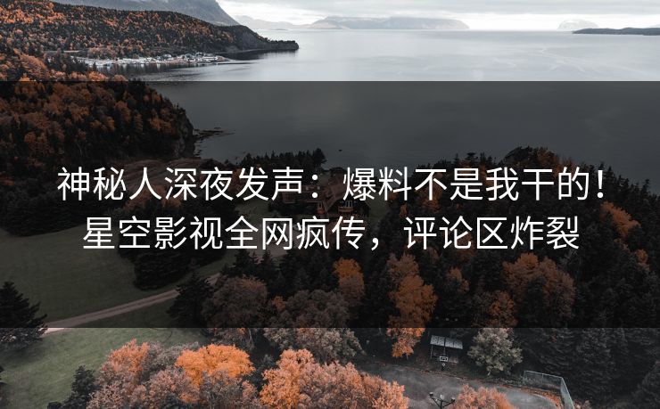 神秘人深夜发声：爆料不是我干的！星空影视全网疯传，评论区炸裂