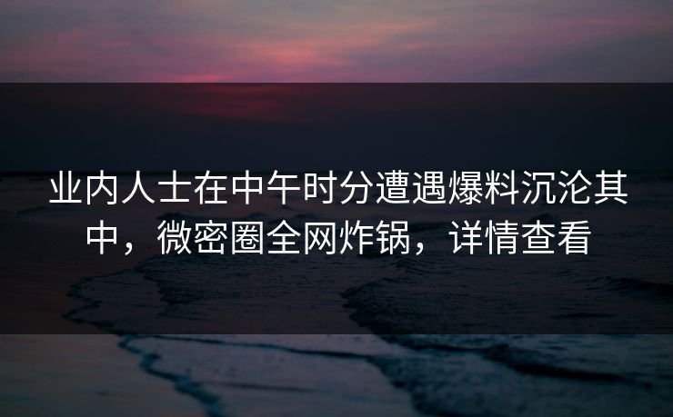 业内人士在中午时分遭遇爆料沉沦其中，微密圈全网炸锅，详情查看