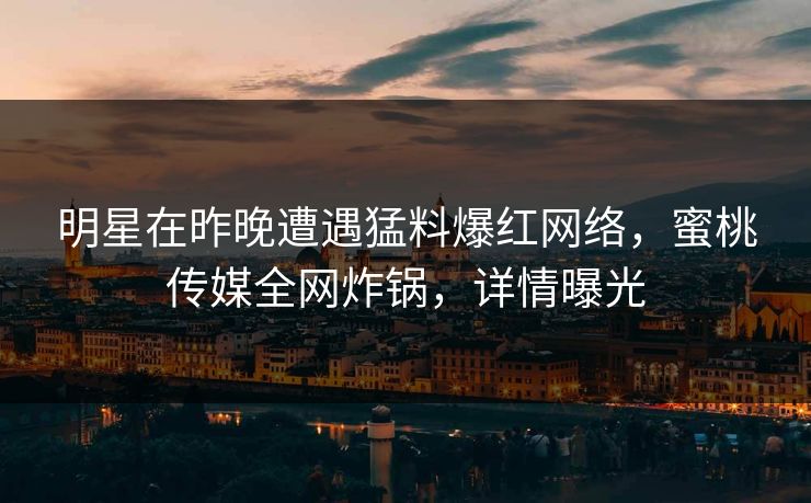 明星在昨晚遭遇猛料爆红网络，蜜桃传媒全网炸锅，详情曝光