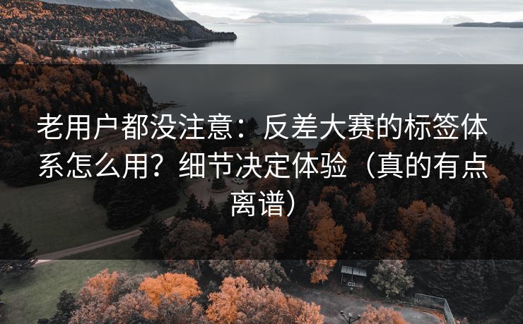 老用户都没注意:反差大赛的标签体系怎么用?细节决定体验(真的有点离谱) 老用户都没注意:反差大赛的标签体系怎么用?细节决定体验(真的有点离谱)